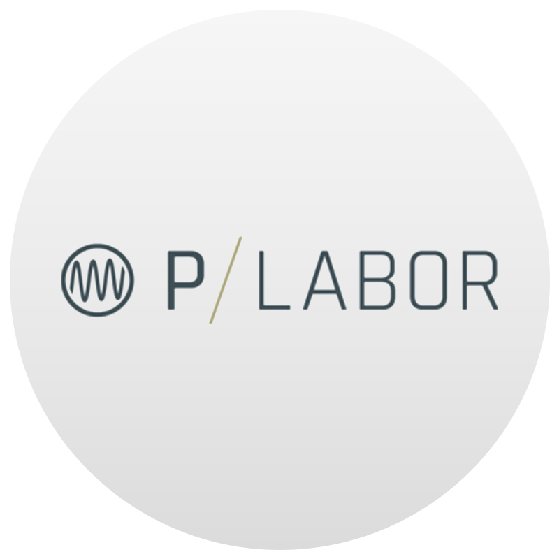 Holger Prang, CEO P-Labor Elektronik GmbH - Vector Insights Kundenmeinung